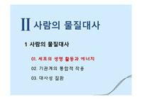 사람의 물질대사-1