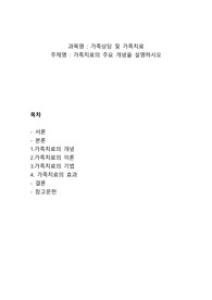 가족치료의 주요 개념을 설명하시오