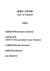 골절의 치유과정 Cure of Fracture A+자료