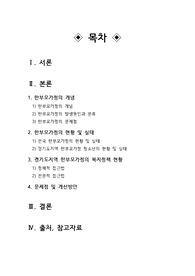 경기도지역 한부모가정의 현황 및 실태와 복지정책, 해결방안 (A+대표레포트)
