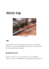 개미도 뇌가 있을까? (ant brain)
