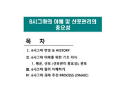 6시그마의 이해 및 산포관리의 중요성