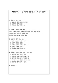 [사회복지] 사회복지 정책의 현황과 이슈 분석