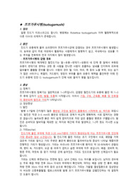 쯔쯔가무시 문헌고찰