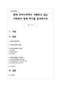 현재 우리나라에서 시행되고 있는 사회복지 정책 하나를 분석하시오