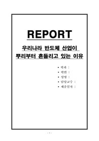 우리나라 반도체 산업이 뿌리부터 흔들리고 있는 이유