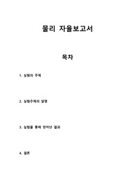 물리 자율탐구보고서 (세특,레포트)