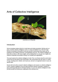 [영문] 개미들의 집단지성 Collective Intelligence in Ants_ Insights into Group Behavior and Social Organization