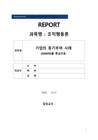 기업의 동기부여 사례 -ㅐㅐ법인 다채움을 중심으로-