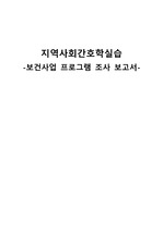 [지역사회간호학실습A+] 서울시 금천구 보건사업프로그램 조사 기획 보고서
