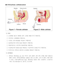 신규간호사 교육 매뉴얼_유치도뇨(Foley catheterization)