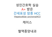 성인간호학 실습 A+받은 간세포성 암종 HCC 케이스, 혈액종양내과 케이스, 간호진단, 간호과정 포함(감염위험성, 급성통증)