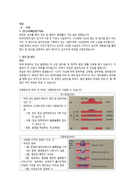 성인간호 위암 문헌고찰