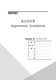 모성간호학 임신오조증 문헌고찰