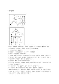 공정 제어 보고서 Y결선,델타결선,유도전동기