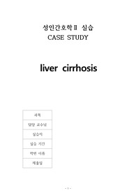 A+응급실케이스-간경화(간호진단3개,간호과정3개)