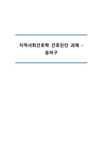 지역사회간호학 간호진단 과제-오마하,송파구
