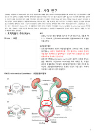 A+++++ 보장 요관결석 응급간호실습 케이스 보고서