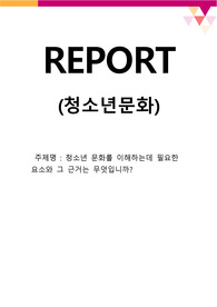 청소년 문화를 이해하는데 필요한 요소와 그 근거는 무엇입니까?