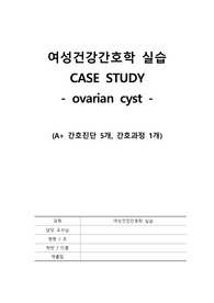 A+ ovarian cyst 난소낭종 케이스(간호진단 5개, 간호과정 1개)