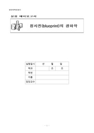 청사진의 광화학 (예비보고서)