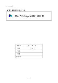 일반화학실험(1) 실험 5 청사진의 광화학 결과