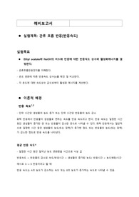 관류흐름반응 예비보고서
