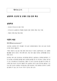반도체 예비보고서