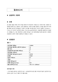 유동화 결과 보고서