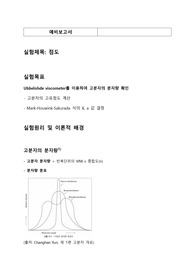 점도 예비보고서