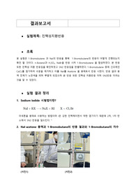 친핵성 치환반응 결과보고서