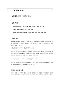 친핵성 치환반응 예비보고서