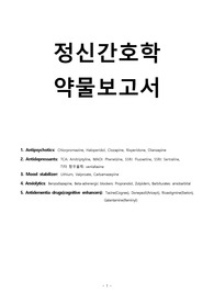 정신간호학 약물 보고서