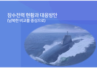 잠수전력 현황과 대응방안(남북한 비교를 중심으로)