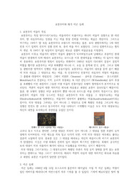 표현주의와 화가 에곤실레