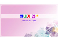 (발표용)헤어 멋내기 염색