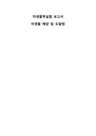 미생물학실험 보고서