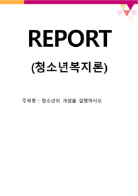 청소년의 개념을 설명하시오