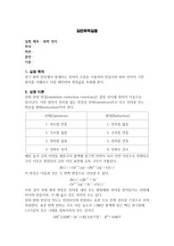 화학 전지 실험보고서