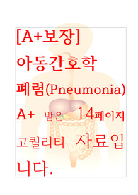 [A+보장] 아동간호학 실습 폐렴(Pneumonia) 간호과정, 컨퍼런스, 케이스스터디, 간호진단 14페이지 자료입니다.