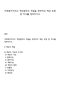 사회복지서비스 예산관리의 개념을 정리하고 예산 모형 중 하나를 정리하시오