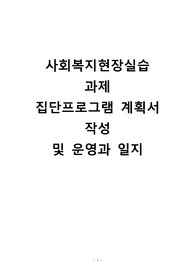 사회복지현장실습 집단프로그램(음악요법)계획서 및 프로그램일지 예시 A+