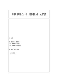 [가상세계] 메타버스의 현황과 전망