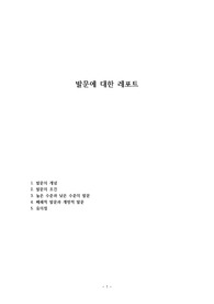 발문에 대한 레포트