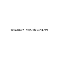 BNK금융지주 경영&amp;기획 자기소개서