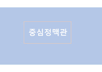 중심정맥관 종류, 병동컨퍼런스용 PICC catheter, Chemoport, Perm catheter