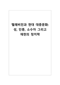 텔레비전과 현대 대중문화 성  인종  소수자 그리고 재현의 정치학