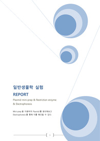 일반생물학실험 REPORT_Plasmid mini-prep