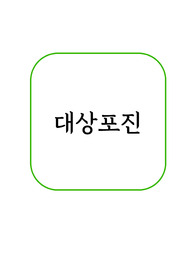 대상포진 문헌고찰+(요약 이미지 포함)