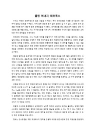 융합적사고와글쓰기 기말고사대체 글쓰기과제(클린 에너지 패러독스, A+)